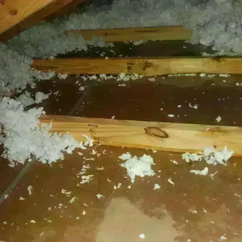 Attic Water Damage in Salem, IN