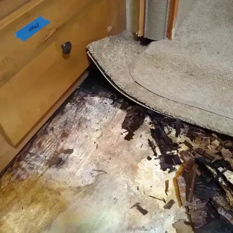 Wood Floor Water Damage in Salem, IN